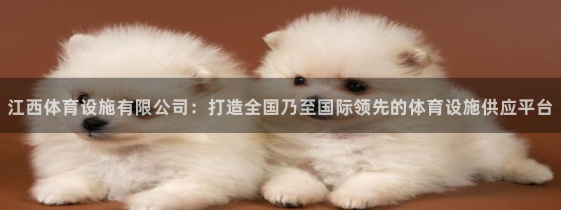意昂体育3是干嘛的公司