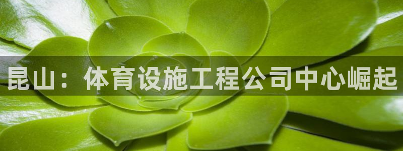 意昂体育3开户