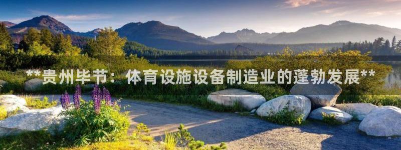意昂3娱乐网站：**贵州毕节：体育设施设备制造业的蓬勃发展*