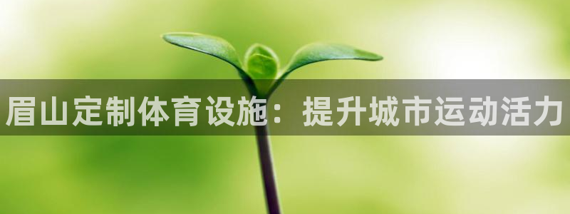 德国意昂3集团：眉山定制体育设施：提升城市运动活力