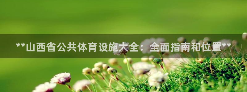 意昂体育3平台APP：**山西省公共体育设施大全：全