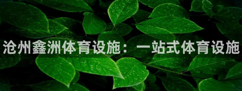 意昂体育3平台注册要钱吗是真的吗：沧州鑫洲体育设施：