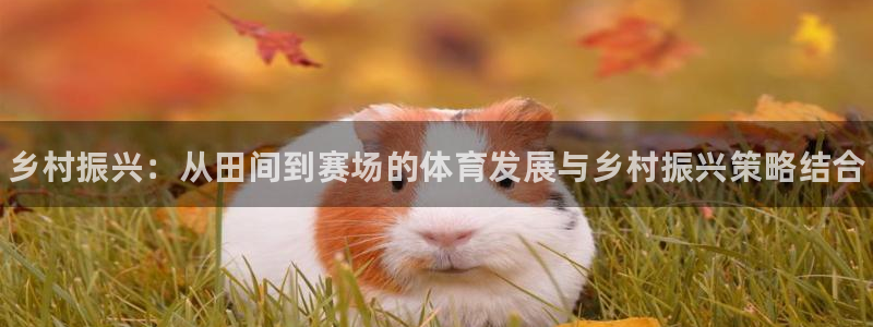 意昂体育3招商电话号码查询