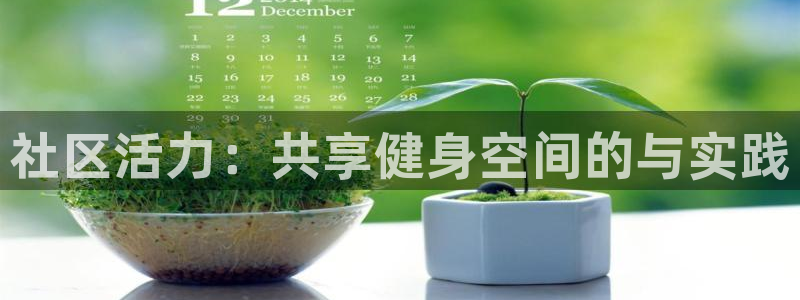 意昂体育3平台注册要钱吗安全吗：社区活力：共享健身空间的与实