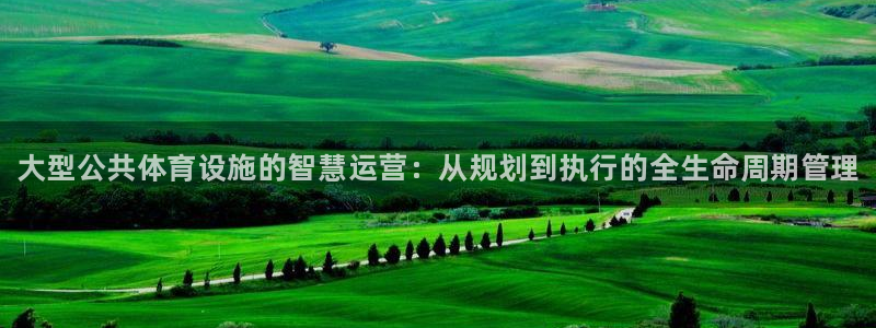 意昂体育3平台APP：大型公共体育设施的智慧运营：从