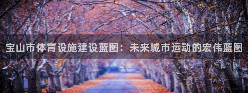 意昂3娱乐：宝山市体育设施建设蓝图：未来城市运动的宏