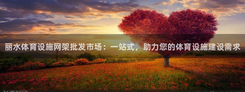 意昂体育3招商电话是多少：丽水体育设施网架批发市场：