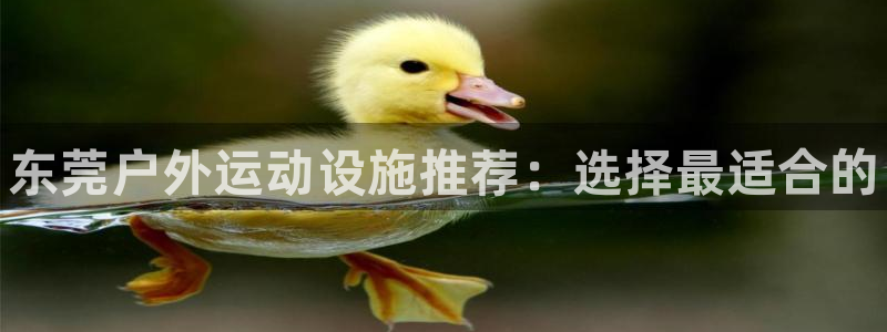 意昂3娱乐首页官网下载：东莞户外运动设施推荐：选择最