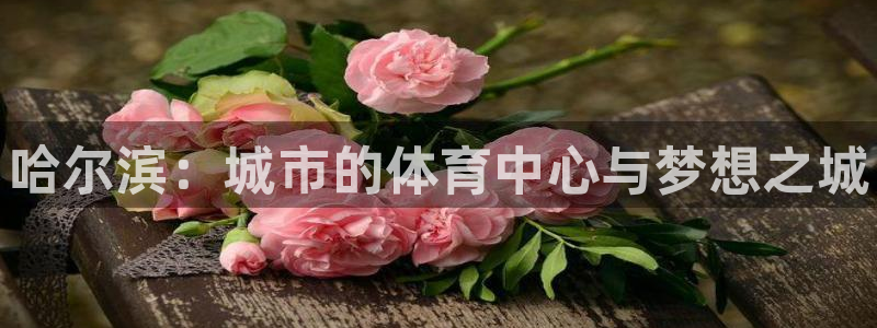 意昂体育3招商电话是多少：哈尔滨：城市的体育中心与梦