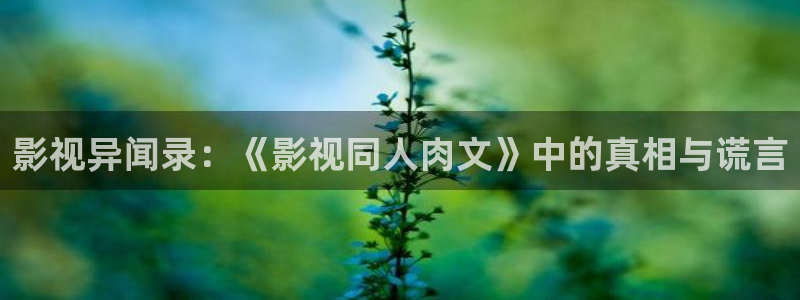 五五理论电影：影视异闻录：《影视同人肉文》中的真相与谎言
