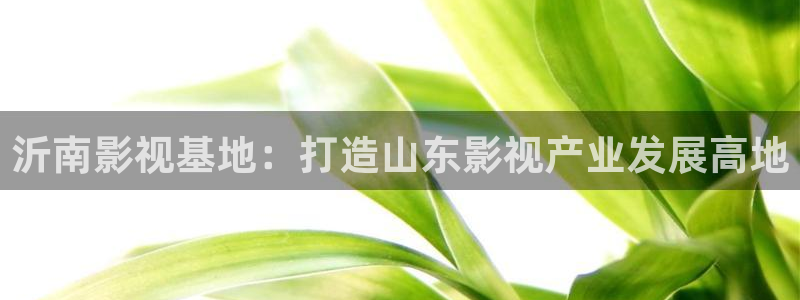 五五看电影：沂南影视基地：打造山东影视产业发展高地
