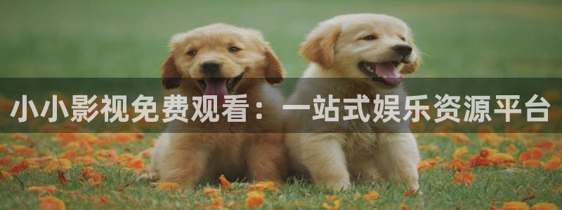 五五影视最新影视剧：小小影视免费观看：一站式娱乐资源平台