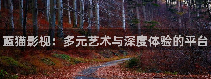 五五电影院：蓝猫影视：多元艺术与深度体验的平台