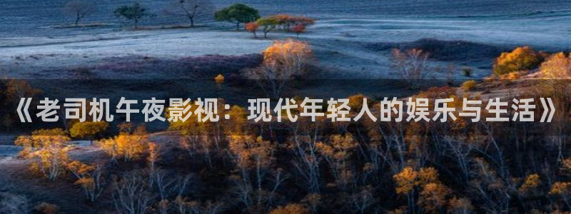 五五影视大全免费观看：《老司机午夜影视：现代年轻人的娱乐与生活》