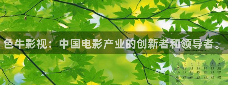 五五影视电视剧免费观看：色牛影视：中国电影产业的创新者和领导者。